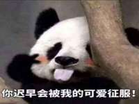 濮阳市鑫众博电子科技有限公司