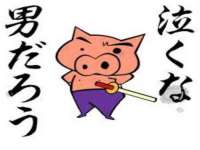 濮阳市鑫众博电子科技有限公司